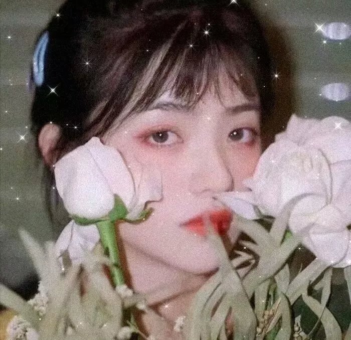 征服者海报